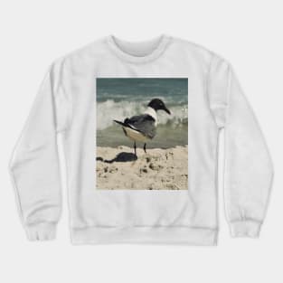 Beautiful photograph of a sad seagull Crewneck Sweatshirt